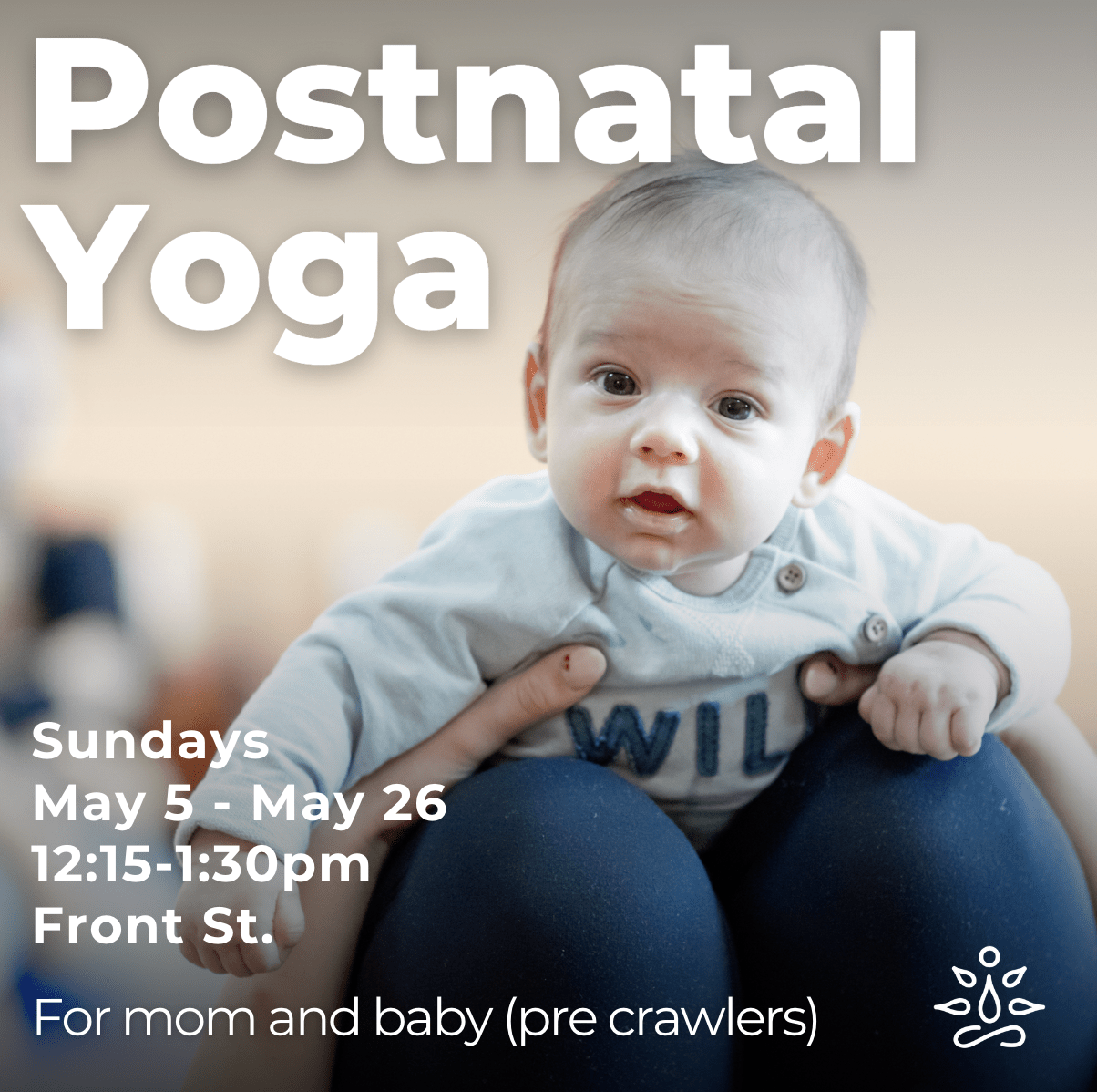 Postnatal yoga Traverse City