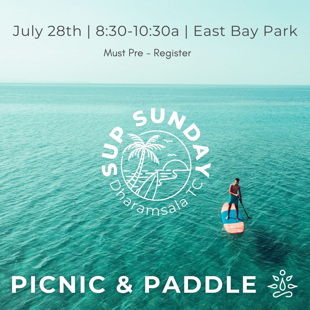 Picnic and Paddle East Bay Park Traverse City