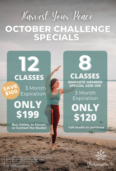 October yoga specials Dharamsala TC