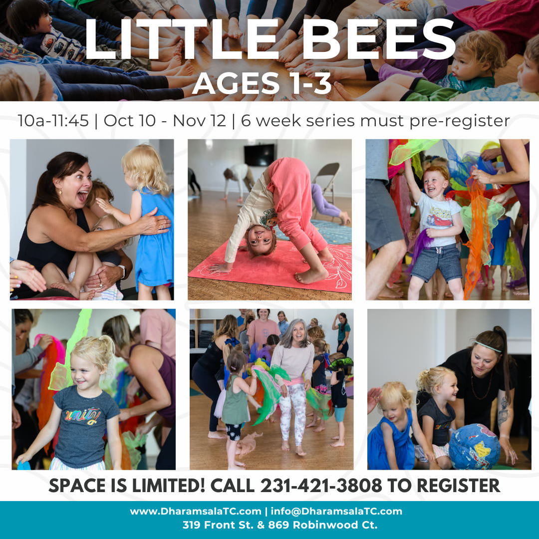 Little Bees yoga classes at Dharamsala TC 